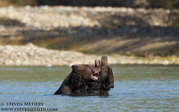 GREAT BEAR RAINFOREST - COASTAL BRITISH COLUMBIA